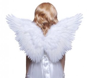 White Angel Wings Costume