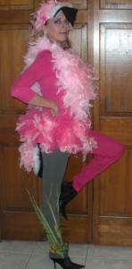 Womens Flamingo Costume