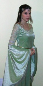 Lord of the Rings Arwen Costume