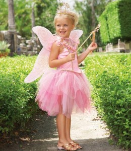 Tooth Fairy Costume Kids