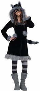 Adult Raccoon Costume