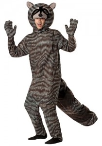 Raccoon Costume Men