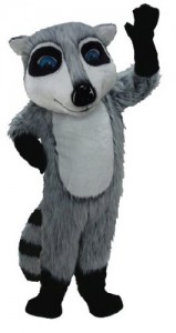 Raccoon Costumes for Kids