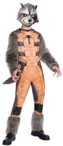 Raccoon Halloween Costume