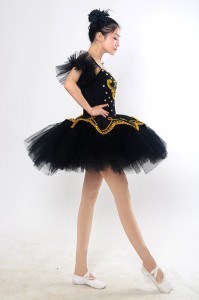 Adult Ballet Costume