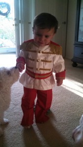 Baby Prince Charming Costume