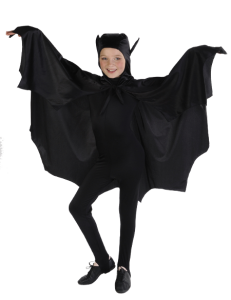 Bat Costumes