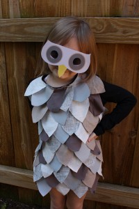 DIY Owl Costume