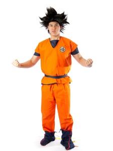 Dragon Ball Costume