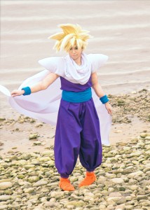 Dragon Ball Z Costumes Gohan