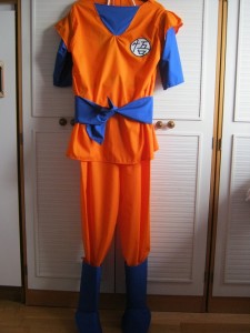 Dragon Ball Z Costumes Goku