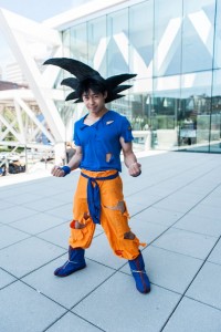 Dragon Ball Z Goku Costume