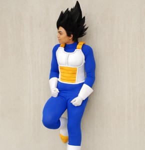 Dragon Ball Z Vegeta Costume