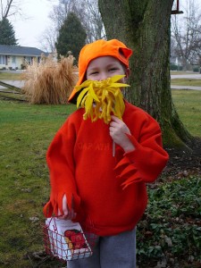 Homemade Dr Seuss Costumes