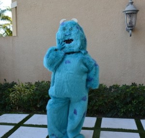 Homemade Sully Costume