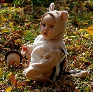 Infant Squirrel Costume