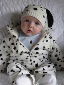 Newborn Dalmatian Costume