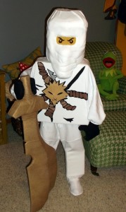 Ninjago Costume Zane