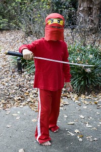 Ninjago Kai Costume