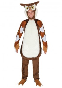 Owl Costume