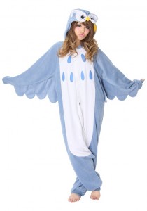 Owl Costume Adult