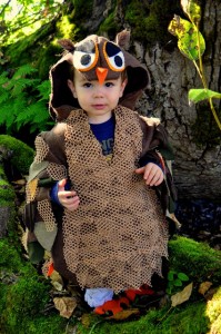 Owl Costume for Kids