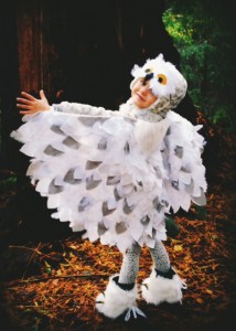  Owl Wings Costume