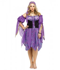 Plus Size Fortune Teller Costume