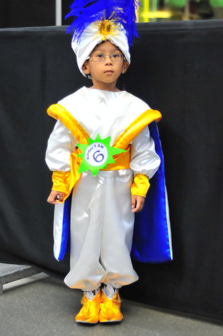 Prince Ali Costume.