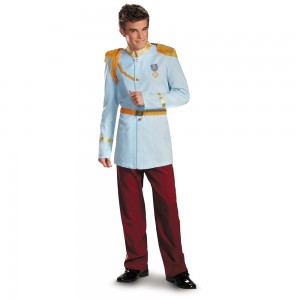 Prince Charming Costume