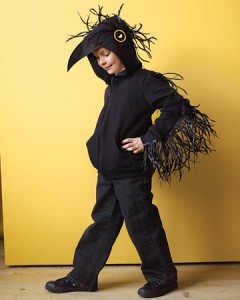 Raven Bird Costume