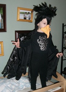 Raven Costume for Kids