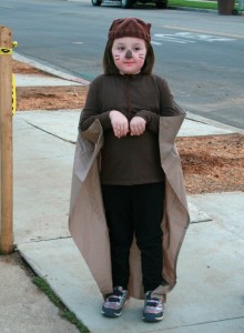 Squirrel Costume Child