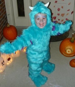 Sully Halloween Costume