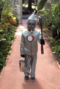 Tin Man Halloween Costume