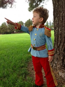 Toddler Prince Costume