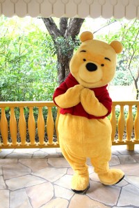 Winnie the Pooh Mascot Costume