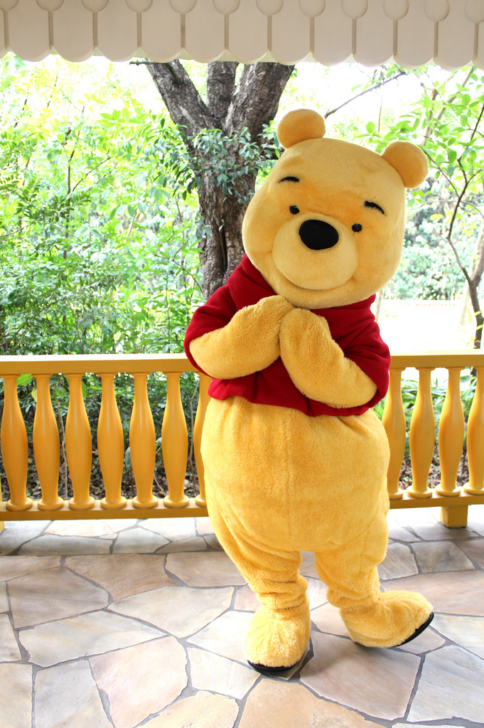 Winnie the Pooh Mascot Costume.